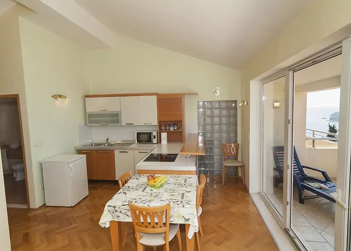 Apartment Simic